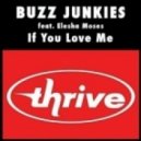 Buzz Junkies Feat Elesha - If You Love Me