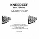 Knee Deep (feat. Shena) - Mysterious (knee Deep Club Mix)