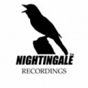 Danny Nightingale - Night Drive (original Mix)