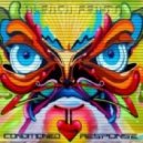 Sirius, Parazoid - Discombobulate - Original Mix ()