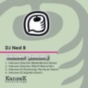 DJ Ned B, Matteo Monero - Unknown Direction (Matteo Monero Remix)