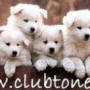 Funkstar De Luxe - Do You Feel (La Fuente Remix)