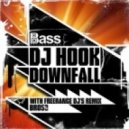 Dj Hook - Downfall (Freerange DJs Remix)