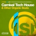 DJ Chus & Mikel Curcio - La Samba (Original Mix)