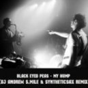 Black Eyed Peas - My Hump (Dj Andrew S.mile & Syntheticsax Remix)