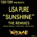 Todd Terry & Lisa Pure - Sunshine (Deep Zone Mix)