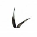 Gaiser - Green Steam