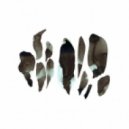 Gaiser - New Dust - Original Mix