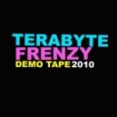Terabyte Frenzy - Harry Potter & The Half-Dub Remix