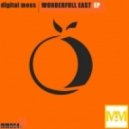 Digital Mess - Push N Rush