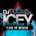 DJ Icey - Hold the Pain