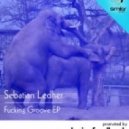 Sebastian Ledher - Fucking Groove