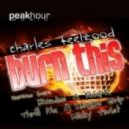 Charles Feelgood - Burn This (DJ Exodus & Reepr Remix)