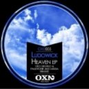 Ludowick - Synthetic Strings