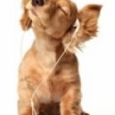 Горячий Шоколад - Береги