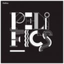 Munn til Munn Metoden - The Youth of Right Reasons (Pelifics in the House Remix)