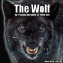 Mr.Frenkei&Receptor vs. Fever Ray - The Wolf