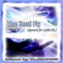 Dj ToJIcT9IK - The Soul Fly (Special for Lidia M)