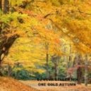 Dj Vova Beller - One Gold Autumn