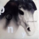 Ginuwine - Pony (The Louder The Better Remix)