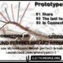Prototyperz - In Connection ()
