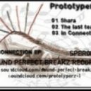 Prototyperz - The Last Tear ()