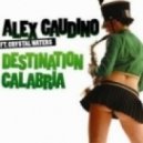 Alex Gaudino - Destination Calabria (DJ Viduta Remix)