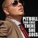 Taio Cruz feat. Pitbull - There She Goes