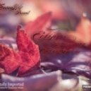 K.S.Project ft V.Ray - My Illusion (Zetandel Chill Rmx)