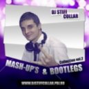 Pink - Get This Party Started (Dj Stiff Collar Mash-Up)