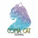 Tensnake - Coma Cat (Stanton Warriors Re Bump)