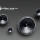 Sergej Vinilov - Intelligent sound vol.4 ()