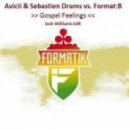 Avicii & Seb Drums vs. Format B - Gospel Feelings