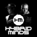 Hybrid Minds - Summer Rain