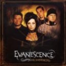 Evanescence - My Immortal (Richard Durand Bootleg)