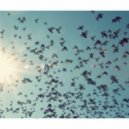 Paul Kalkbrenner - Aaron