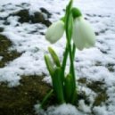 Anton Batonov - Spring 2012