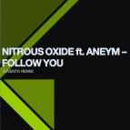 Nitrous Oxide feat. Aneym - Follow You