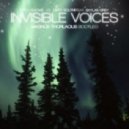 Otto Knows Vs. Dirty South, Skylar Grey - Invisible Voices (Magnus Thorlacius\'s Bootleg)