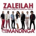 Mandinga - Zaleilah (Slayback Bootleg)