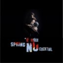 DJ Notice - Spring Nu Cocktail mix ()