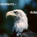 Electrohertz - Adler