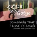 Avicii Vs. Gotye - Somebody that I Used to Levels