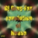 Dj Grey-Fox - Revolution of House ()