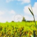 Changing Faces - One And Only