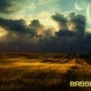 Near Light - This Place is my Home