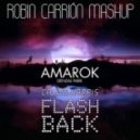 Denzal Park vs Calvin Harris - Amarok Flashback