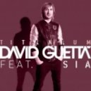 David Guetta feat. Sia - Titanium (Guss Souza Remix)