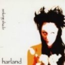 Shelley Harland - Fly