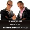 DJ Andrew S.Mile & Syntheticsax - Лезгинка